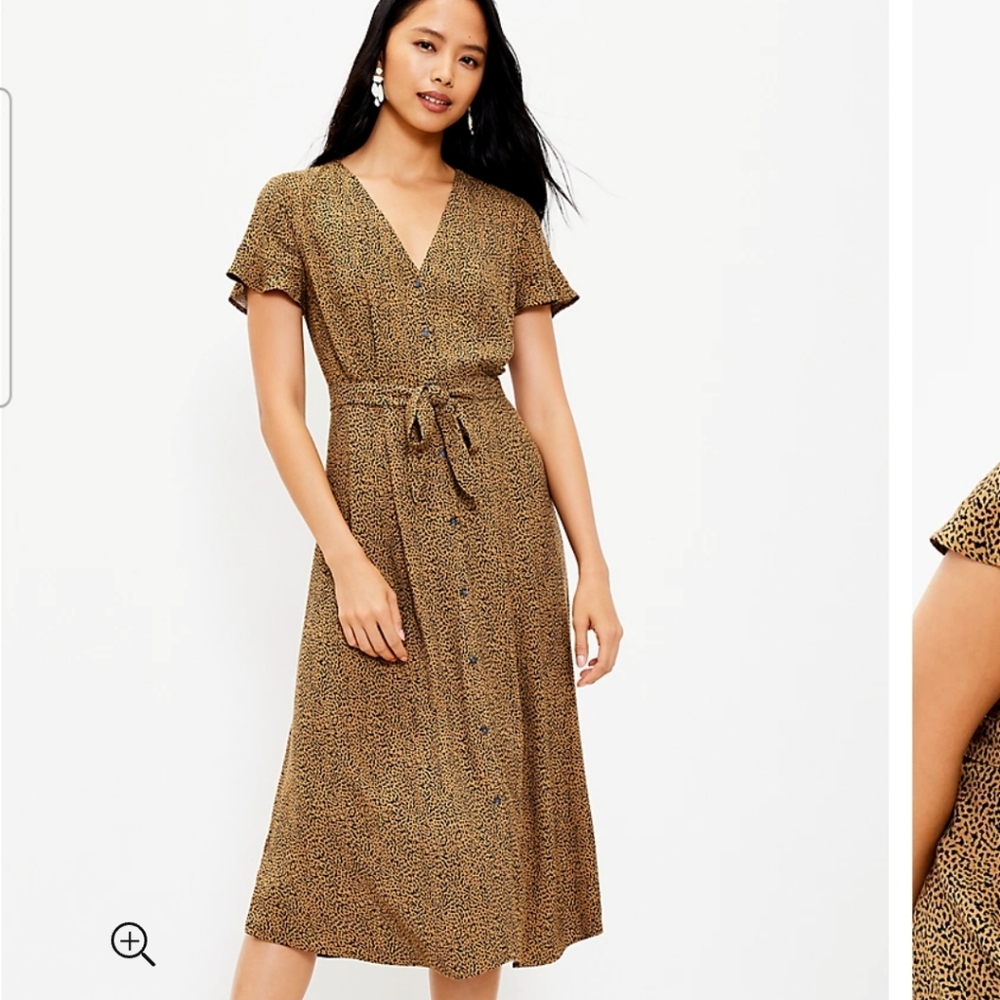EUC leopard print button-up midi dress